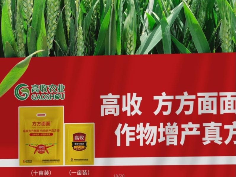 小麦增产方法