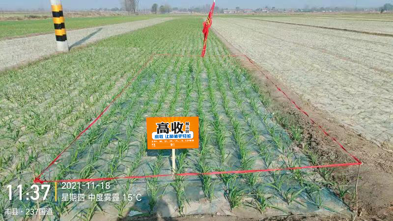 郑州高收农业科技有限公司