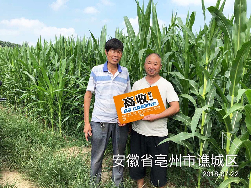 高收方方面面增产套餐