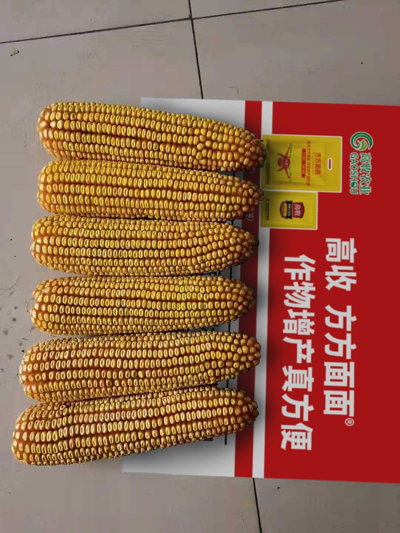 高收方方面面玉米增产套餐