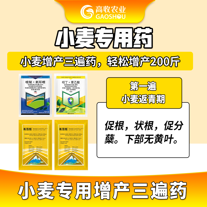小麦增产,用高收增产套餐