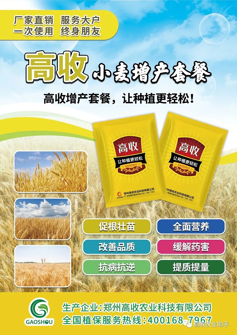 高收增产套餐,小麦增产的良方.