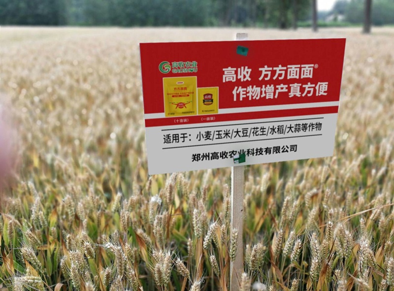 小麦苗弱发黄用什么药