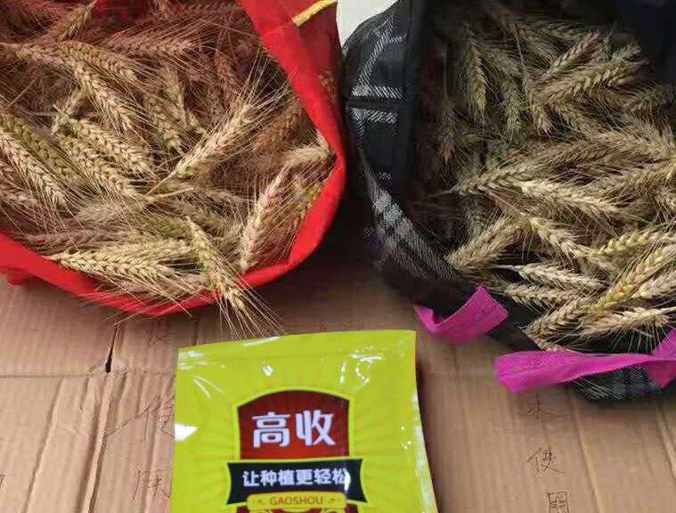 郑州高收农业科技有限公司