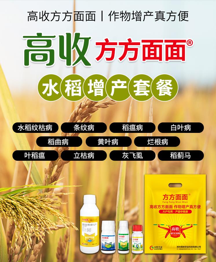 高收方方面面水稻增产套餐，水稻促进分蘖